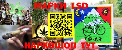 ГАЛЛЮЦИНОГЕННЫЕ ГРИБЫ Малоярославец