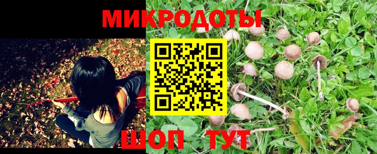 дарнет шоп  Вход с VPN  Камень-на-Оби  Галлюциногенные грибы MAGIC MUSHROOMS 